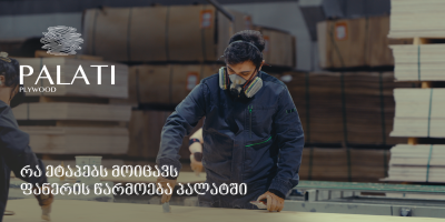 პალატი ეტაპები (1)